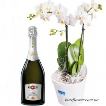 Orchid & Martini Asti Gift Set